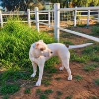 Photo of Missie
