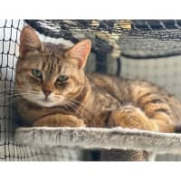 Photo of 6295   Adele