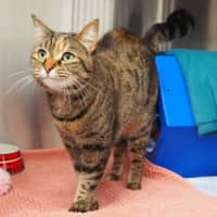 Photo of Arya