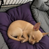 Photo of Lexi