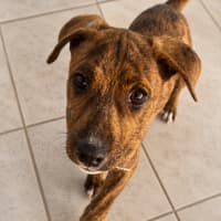 Photo of Candy