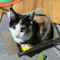 Photo of Maya & Morgan🌻🌼