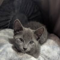 Photo of Alaya