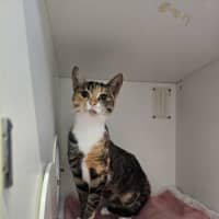 Photo of Bixby