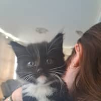 Photo of Pandah (K55)