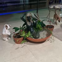 Photo of Prince Harry