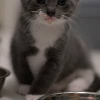 Photo of 🩵 Blue Jay 🩵