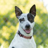 Photo of Morty