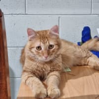 Photo of Charlie
