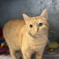 Photo of Arlo