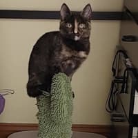 Photo of Pink   Located In Reservoir