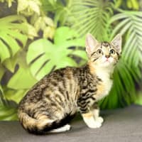 Photo of Ulla  Meet Me At Vets On Parker Templestowe