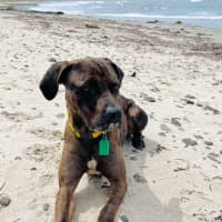 Photo of Uncle Fester