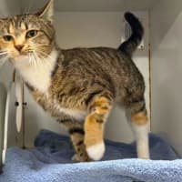 Photo of Lila