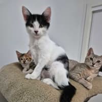 Photo of Charley🌷