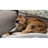 Photo of 2363   Bonnie