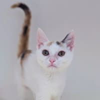 Photo of Suze