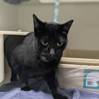 Photo of 🍤 Luca 6216 🍤