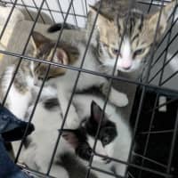 Photo of Zippy Snail