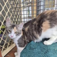 Photo of Ella! ❤️