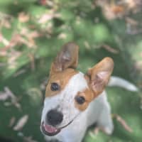 Photo of Swanee