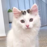 Photo of Hugo