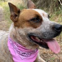 Photo of Nala Jablonksi