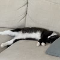 Photo of Pumpkin And Feta