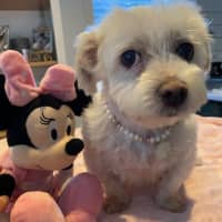 Photo of Mollyrose🌹
