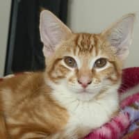 Photo of Bruce
