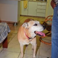 Photo of Mika
