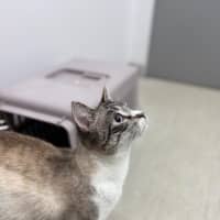 Photo of Missy