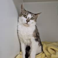 Photo of Meredith
