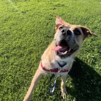 Photo of Tilly