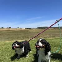 Photo of Dimmy & Cleo