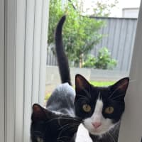 Photo of Fifi