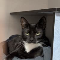 Photo of Minnie