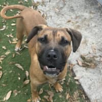 Photo of Skittles