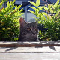 Photo of Jeremy Stk012743