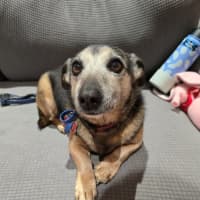 Photo of Barney Lozano