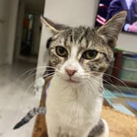 Photo of Ginny (Weasley) Of Harry Potter Fame