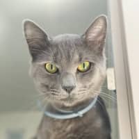 Photo of Memphis (9183)