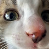 Photo of Little Leah