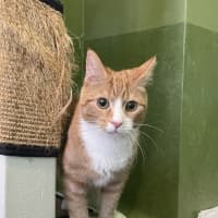 Photo of Martian