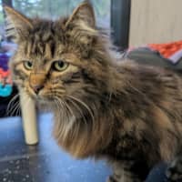 Photo of Cliff Richard