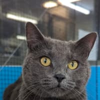 Photo of Kiriko