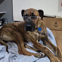 Photo of Monty