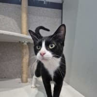 Photo of Dora