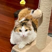 Photo of Aryah