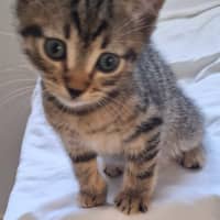Photo of Timmy